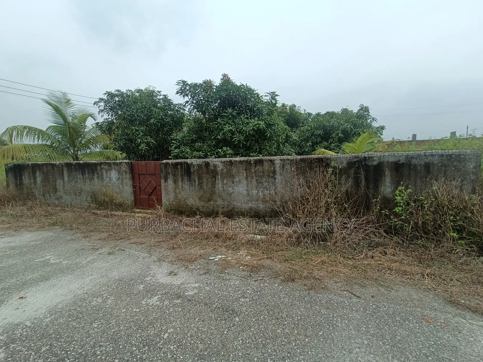 Near 75ft, East Facing, 3 Katha Plot In Sec#9 in Purbachal
