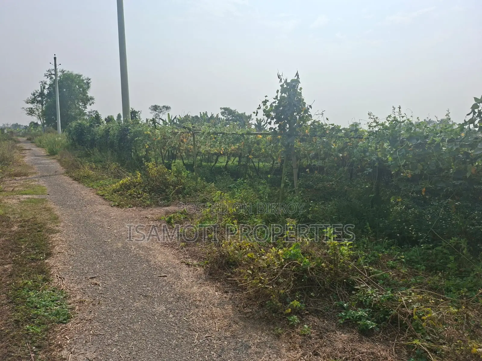 Affordable 5 Katha Plot For Sale At Purbachal in Purbachal