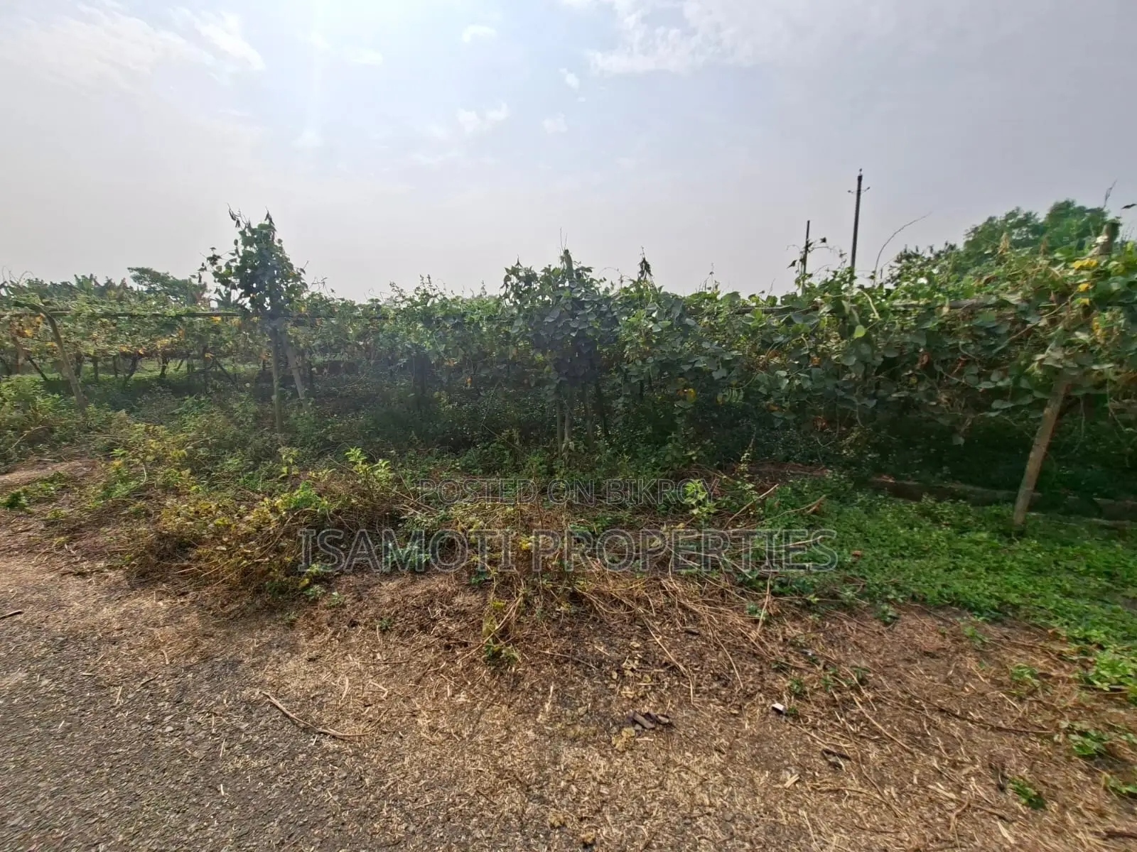 Affordable 5 Katha Plot For Sale At Purbachal in Purbachal