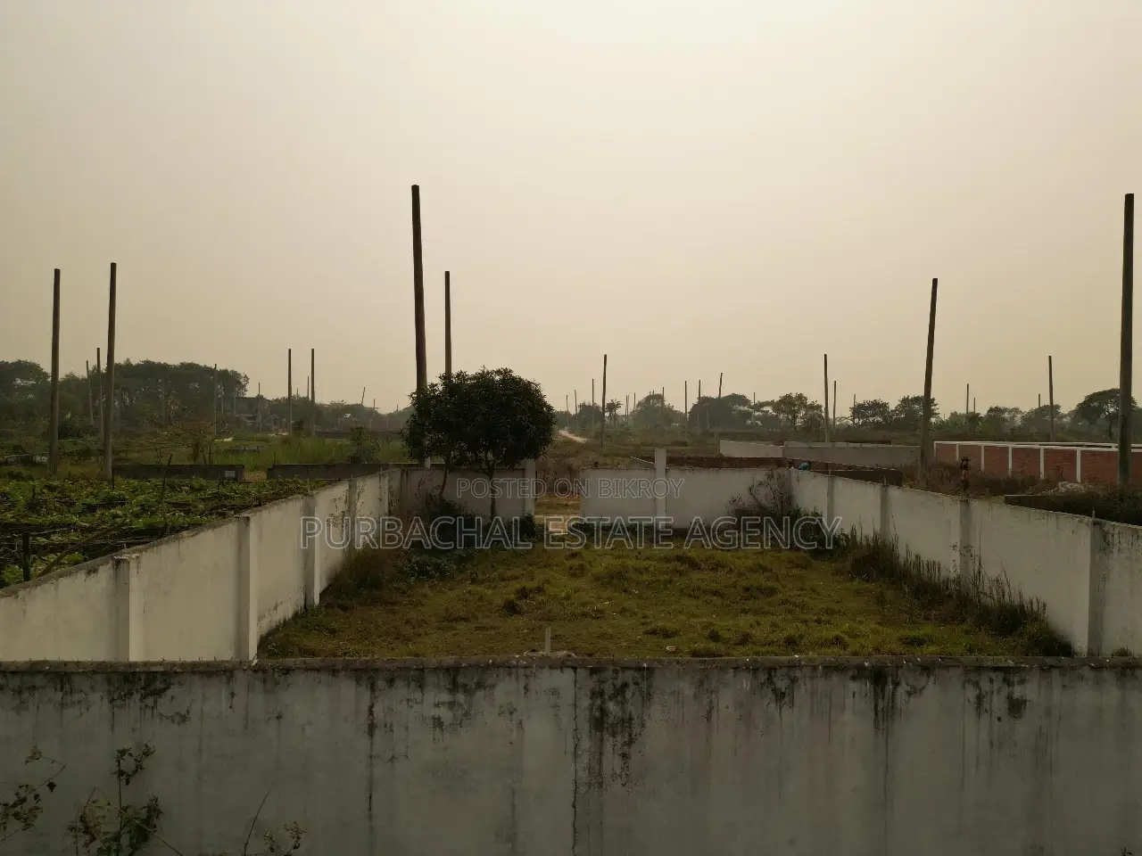 East Facing, 3 Katha Plot In Sec#9 in Purbachal