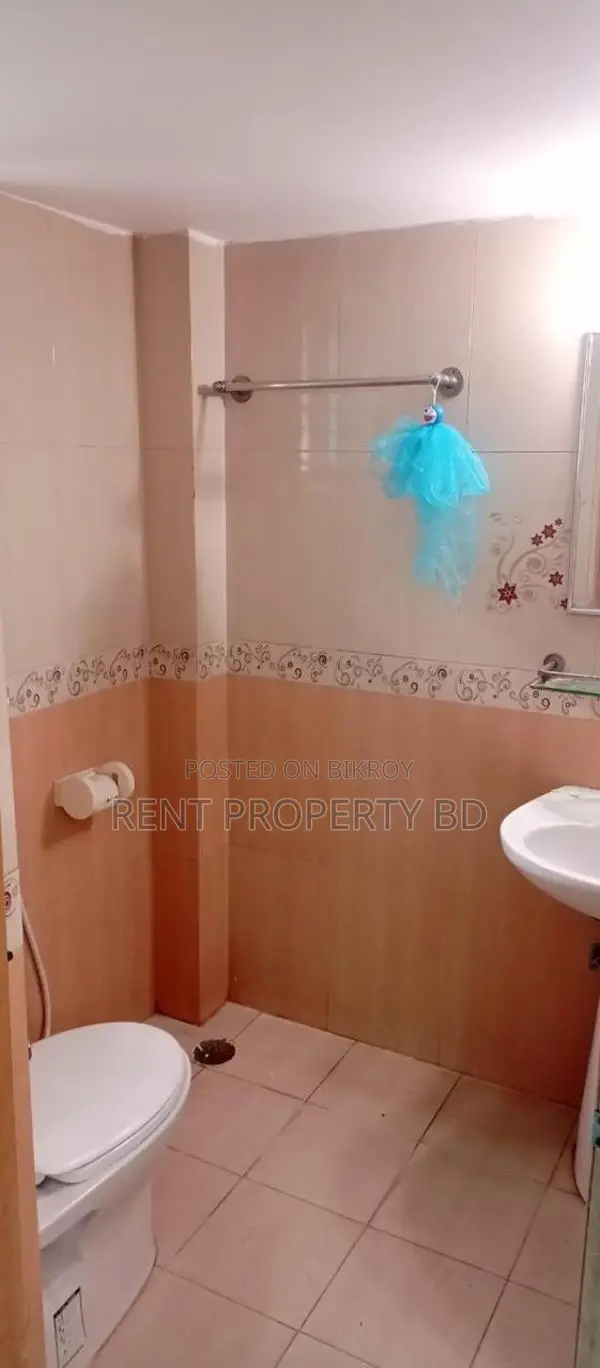 Bashundhara Nice Fully Furnished Apartment Rent in Basundhara