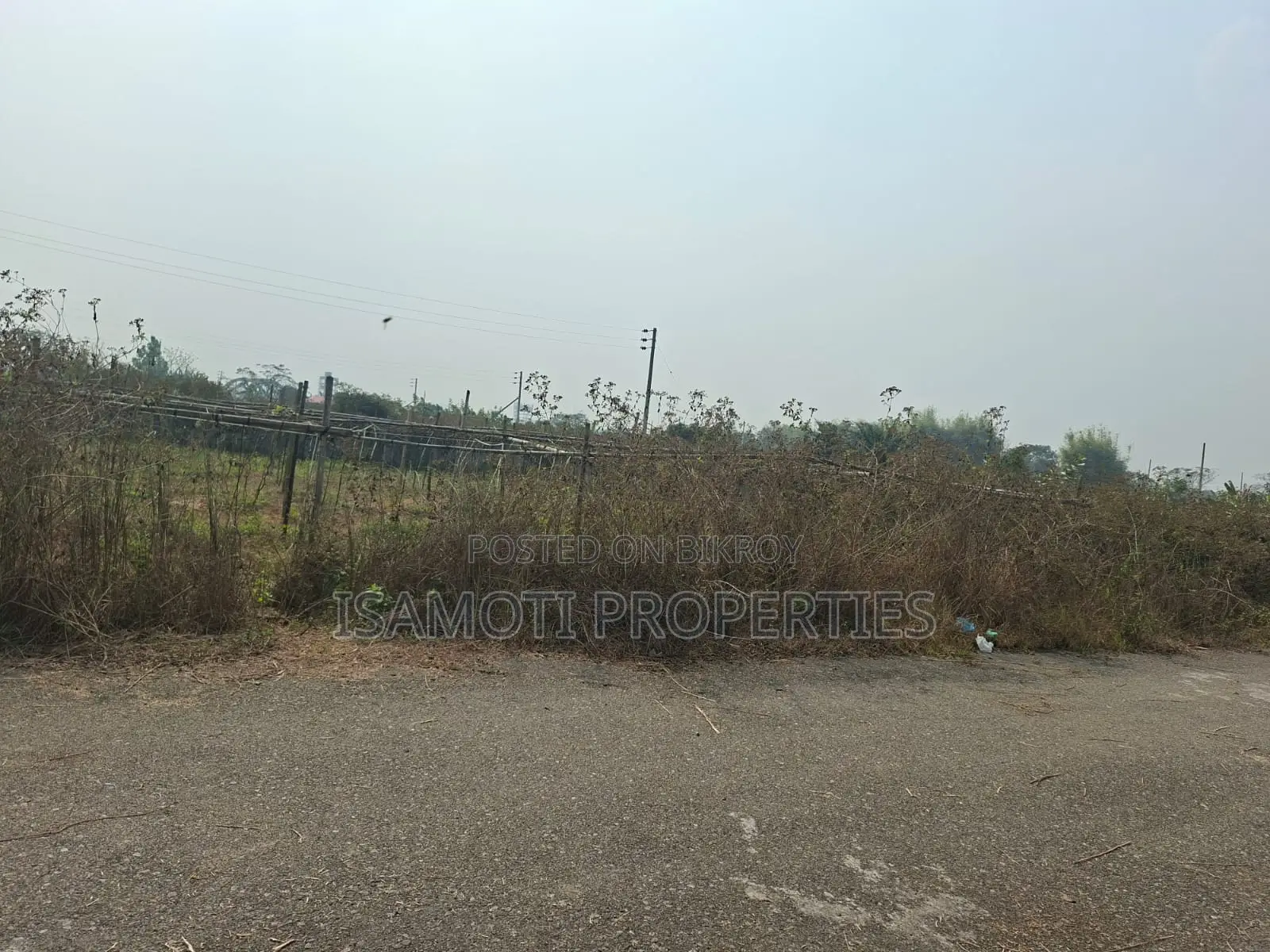 Field View 5 katha Plot Sale Sector 25 in Purbachal