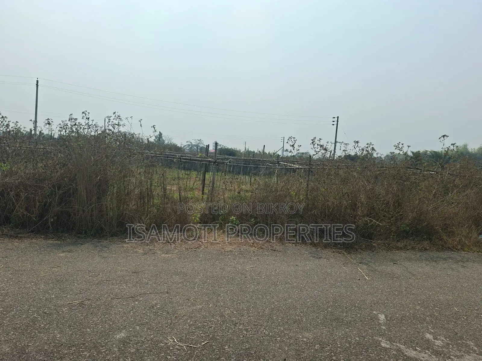 Field View 5 katha Plot Sale Sector 25 in Purbachal