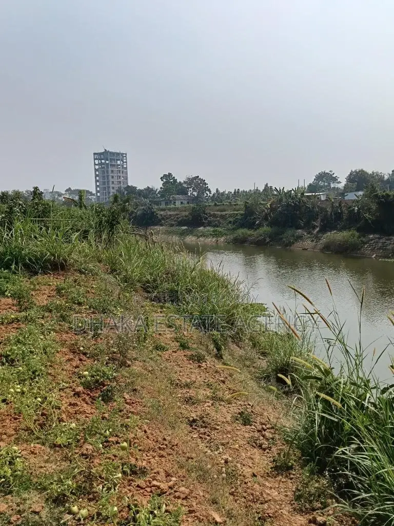 Sector-29 Road-405C South Face gov. service in Purbachal