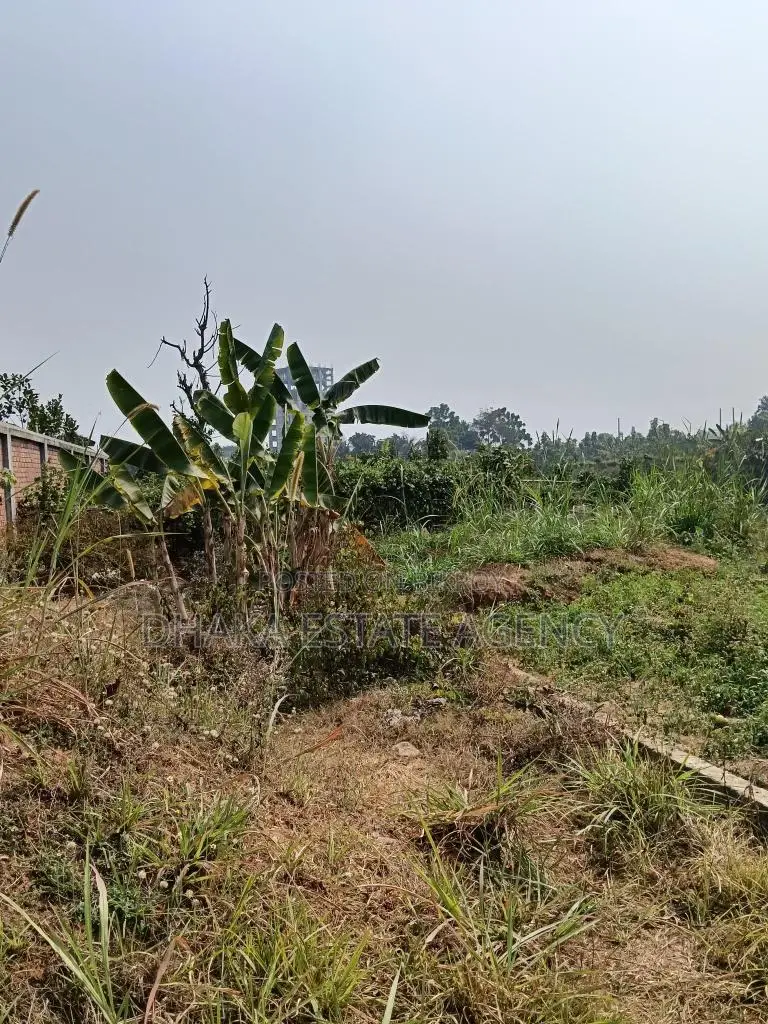 Sector-29 Road-405C South Face gov. service in Purbachal