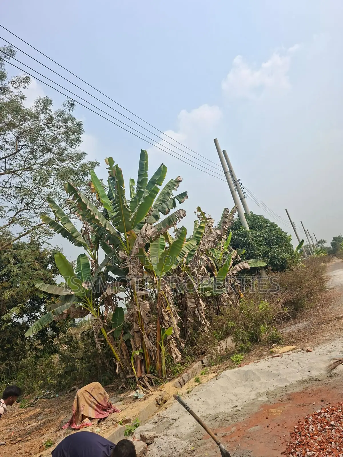 South Face 3 Katha Sector 25 in Purbachal