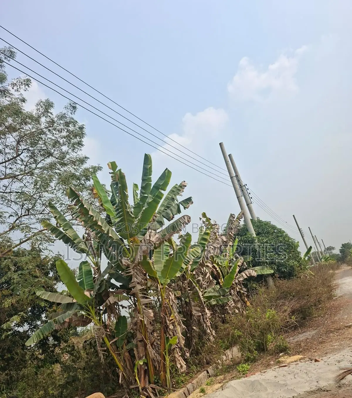 South Face 3 Katha Sector 25 in Purbachal