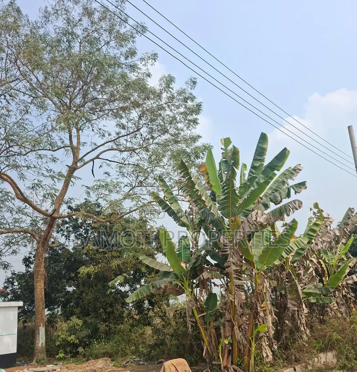 South Face 3 Katha Sector 25 in Purbachal