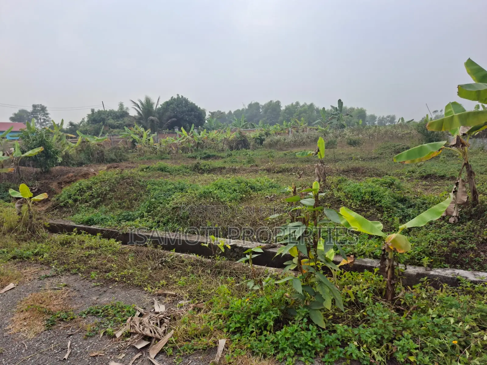 Near 100ft Road 3 Katha plot Sale At Rajuk Purbachal in Purbachal