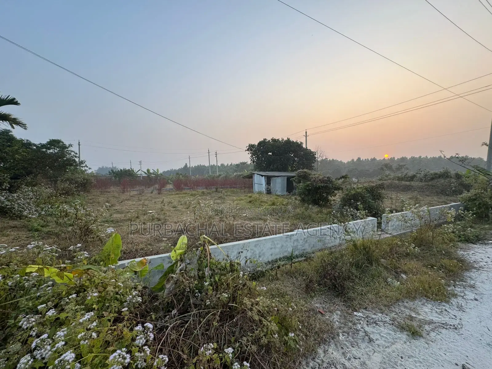 Near 100ft, South Facing, 3 Katha Plot In Sec#28 in Purbachal