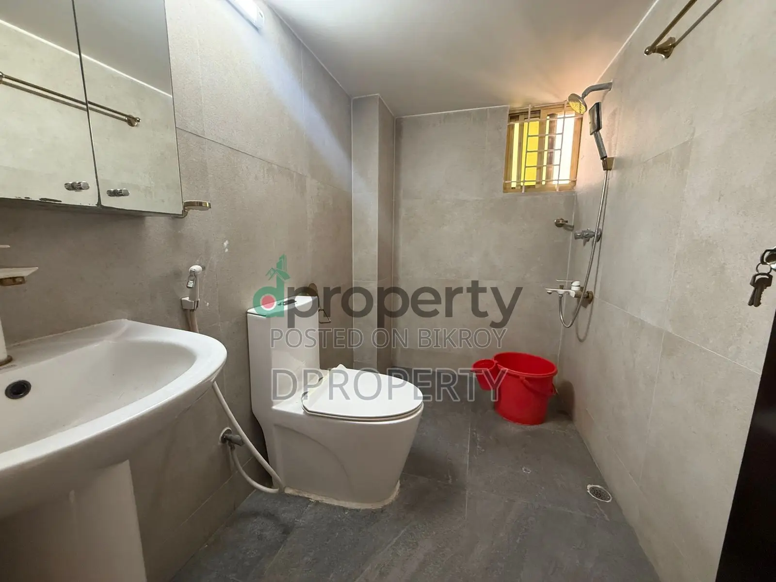 Furnished 5bdrm Apartment in Basundhara for Rent in Basundhara