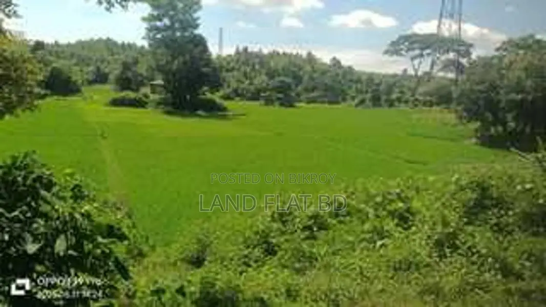 337 Decimal Land for Sale, Perfect for Resort in Cox's Bazar