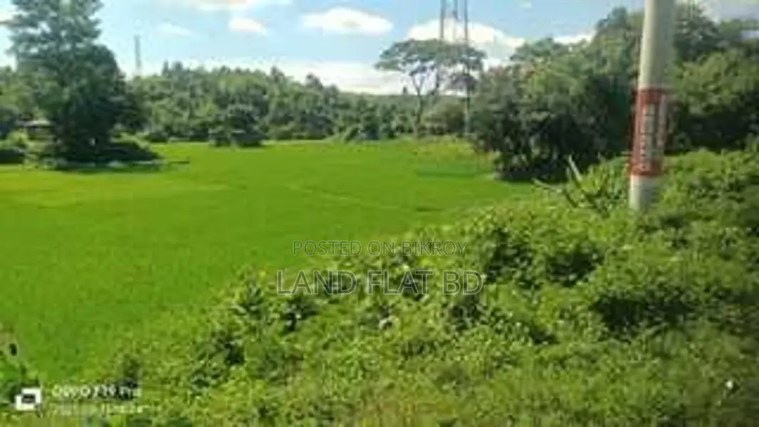 337 Decimal Land for Sale, Perfect for Resort in Cox's Bazar