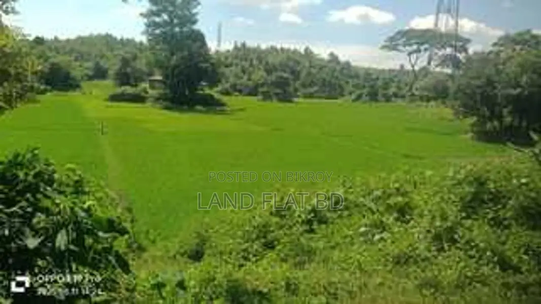 337 Decimal Land for Sale, Perfect for Resort in Cox's Bazar