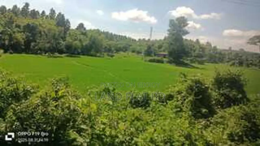 337 Decimal Land for Sale, Perfect for Resort in Cox's Bazar