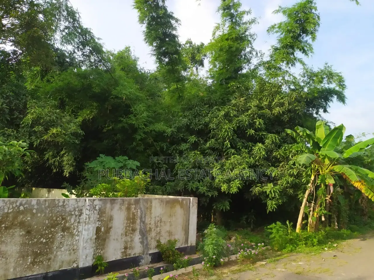 30ft/75ft Corner, 3 Katha Plot In Sec#13 in Purbachal