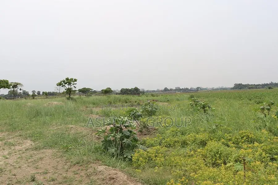 Ready Plots for Sale in Ashiyan City, Near Hajj Camp in Khilkhet