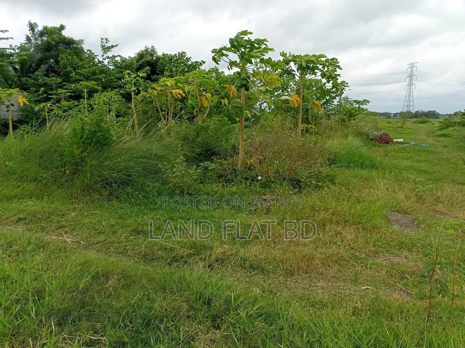 Enjoy a Natural Environment @ 12 Katha Land for Sale in Keraniganj