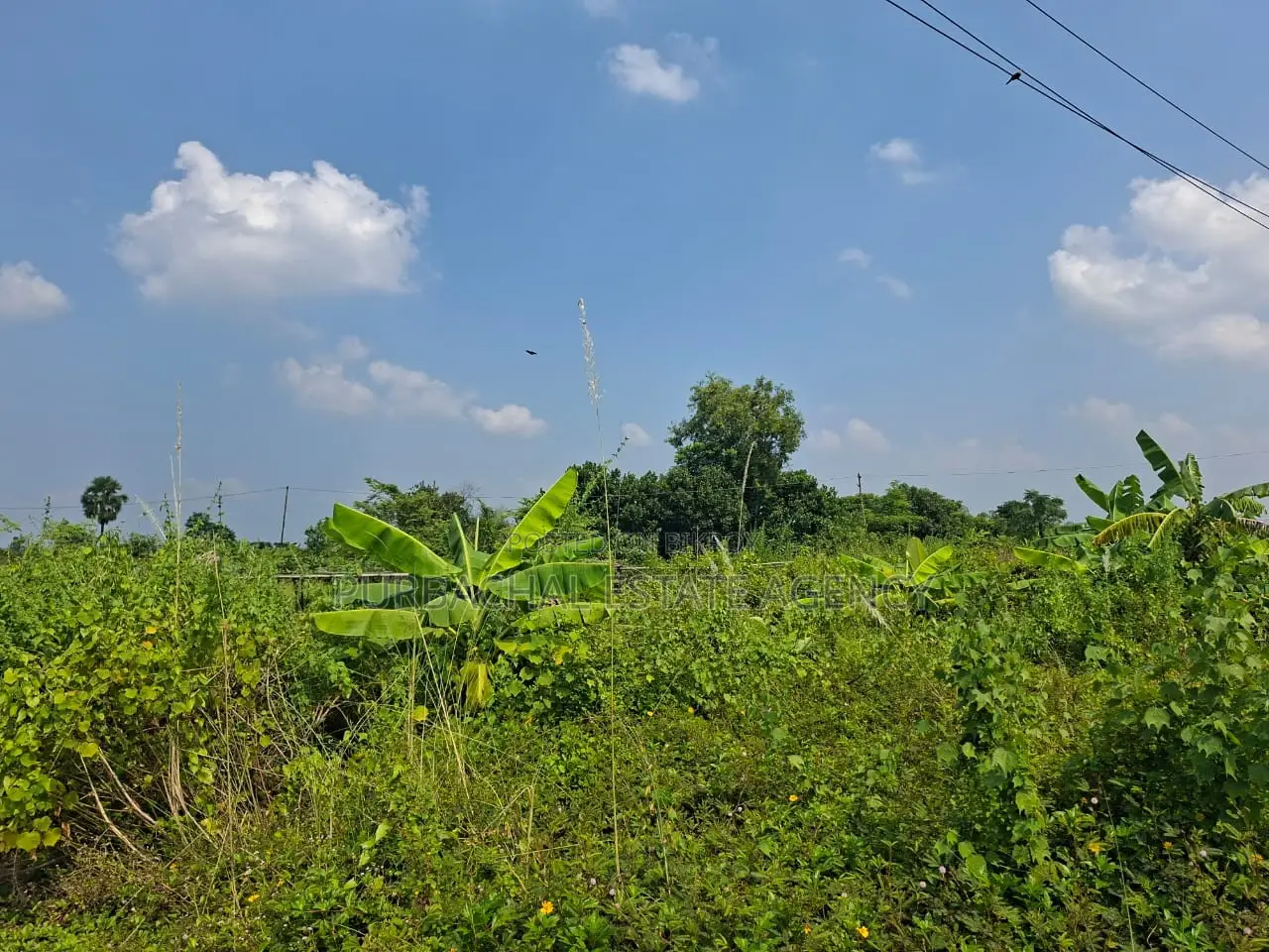 East-Facing, Near Play-lot: 5 Katha Plot in Sector 23 in Purbachal