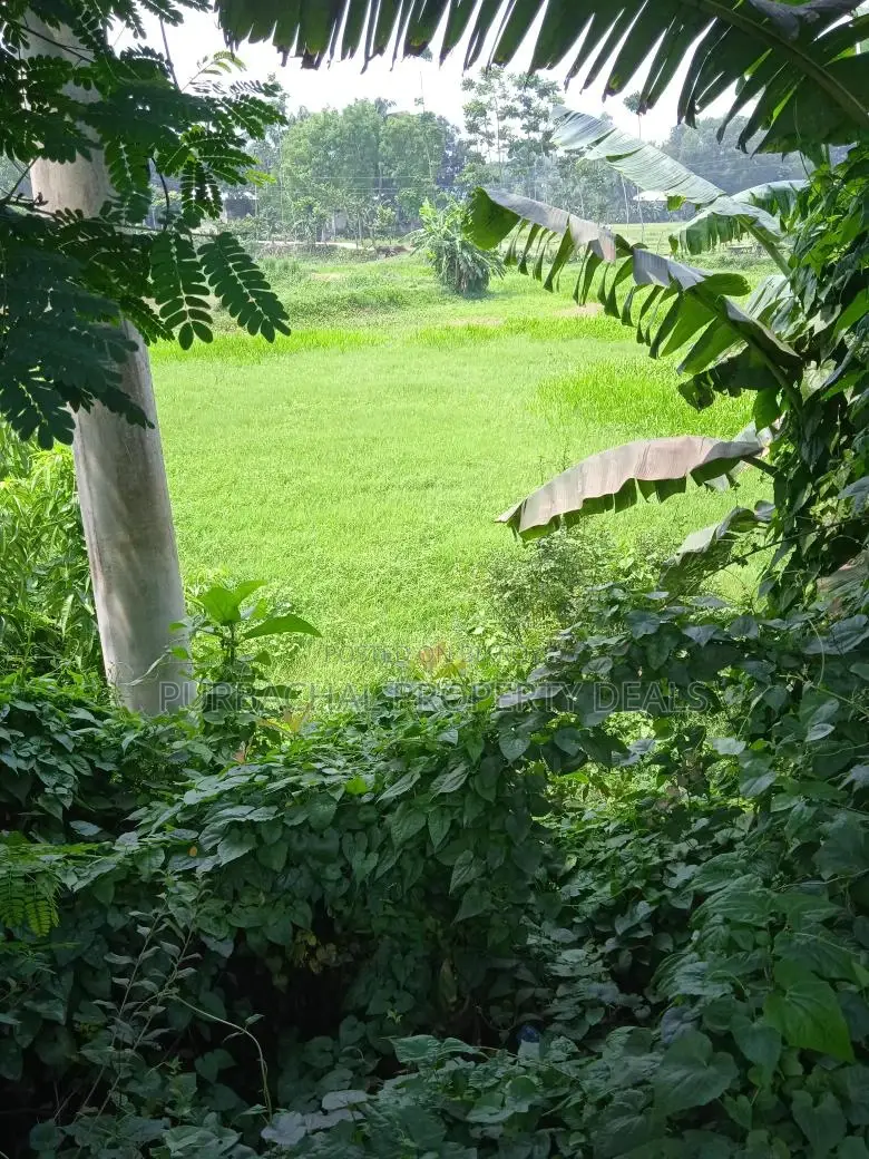 Mirer Bazar to Sylhet Highway: 45 Decimal Dream Land for Sale in Gazipur