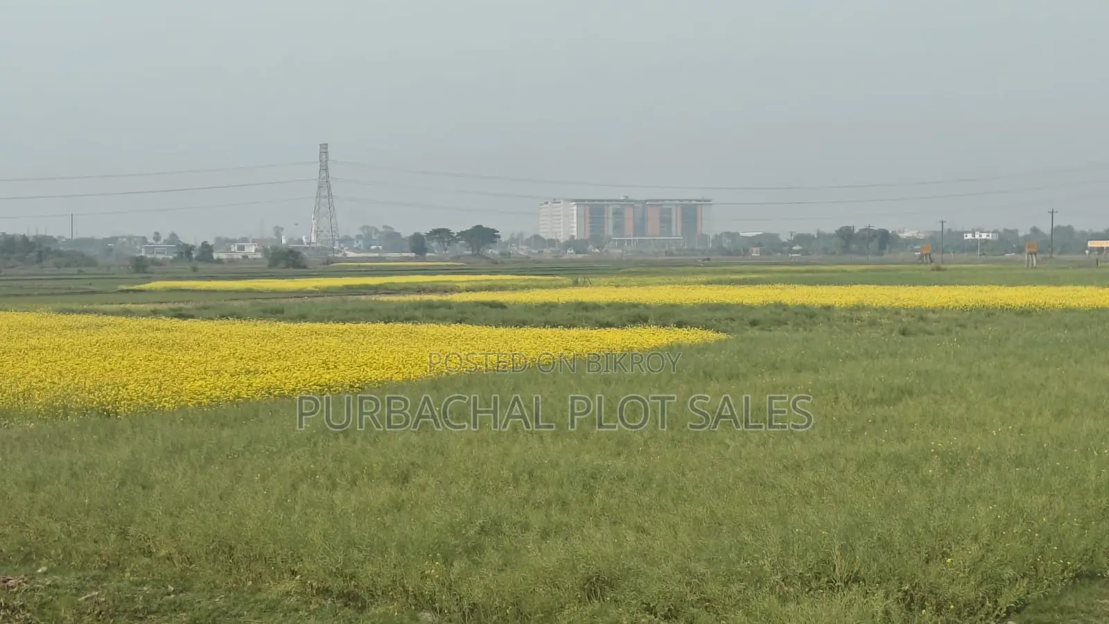 Tulip Valley Project: The Smart City of the Future Near Purbachal. in Purbachal