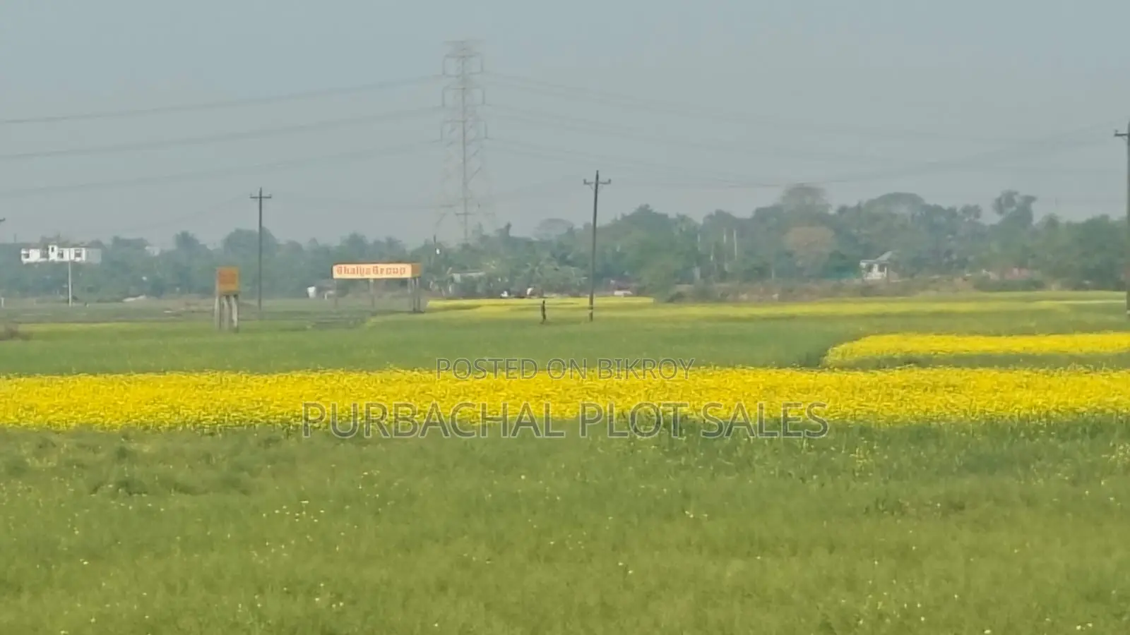 Tulip Valley Project: The Smart City of the Future Near Purbachal. in Purbachal