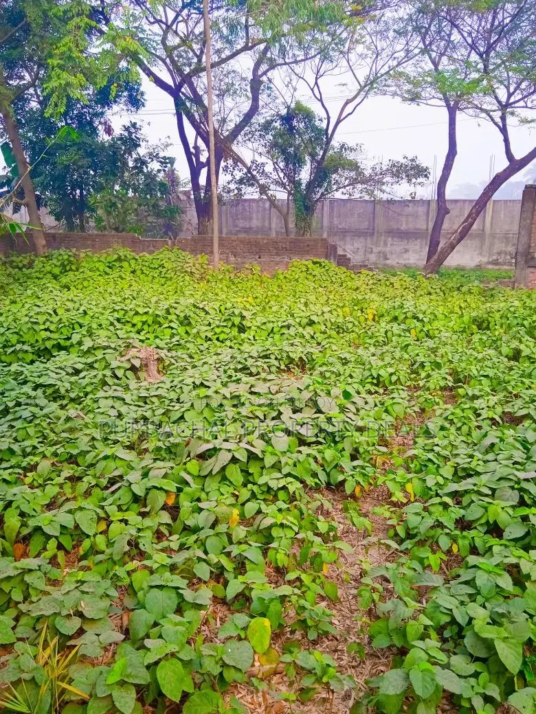 Luxury 13.50 Decimal Land with Shitalakshya River View, Iconic Purbachal in Purbachal