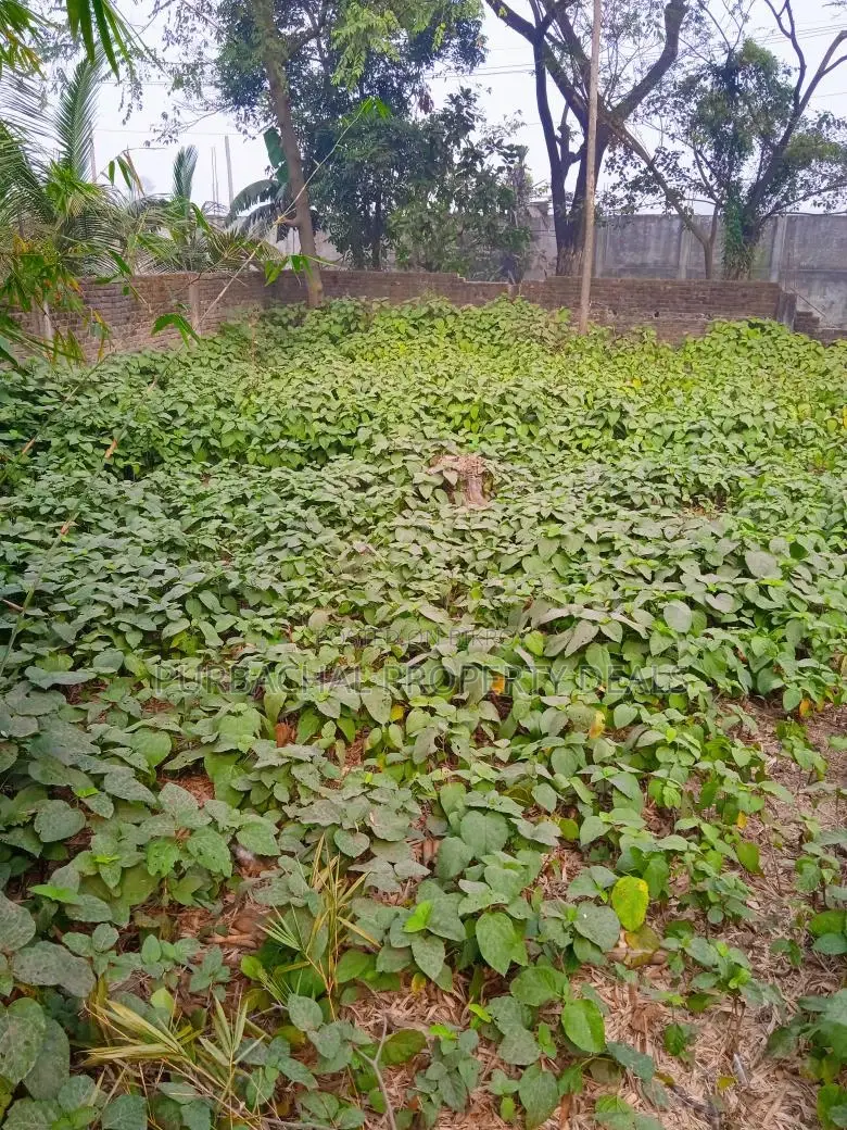 Luxury 13.50 Decimal Land with Shitalakshya River View, Iconic Purbachal in Purbachal