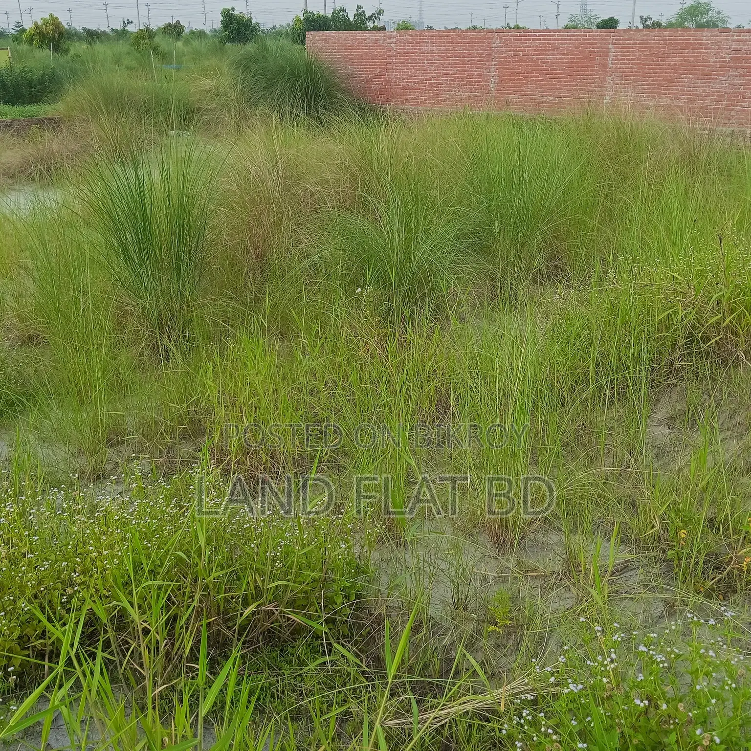 South-Facing Ready Plot for Sale @ 5 Katha in Mohammadpur