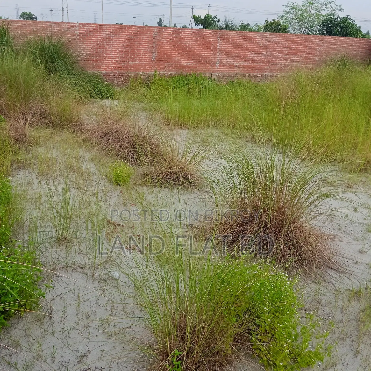 South-Facing Ready Plot for Sale @ 5 Katha in Mohammadpur