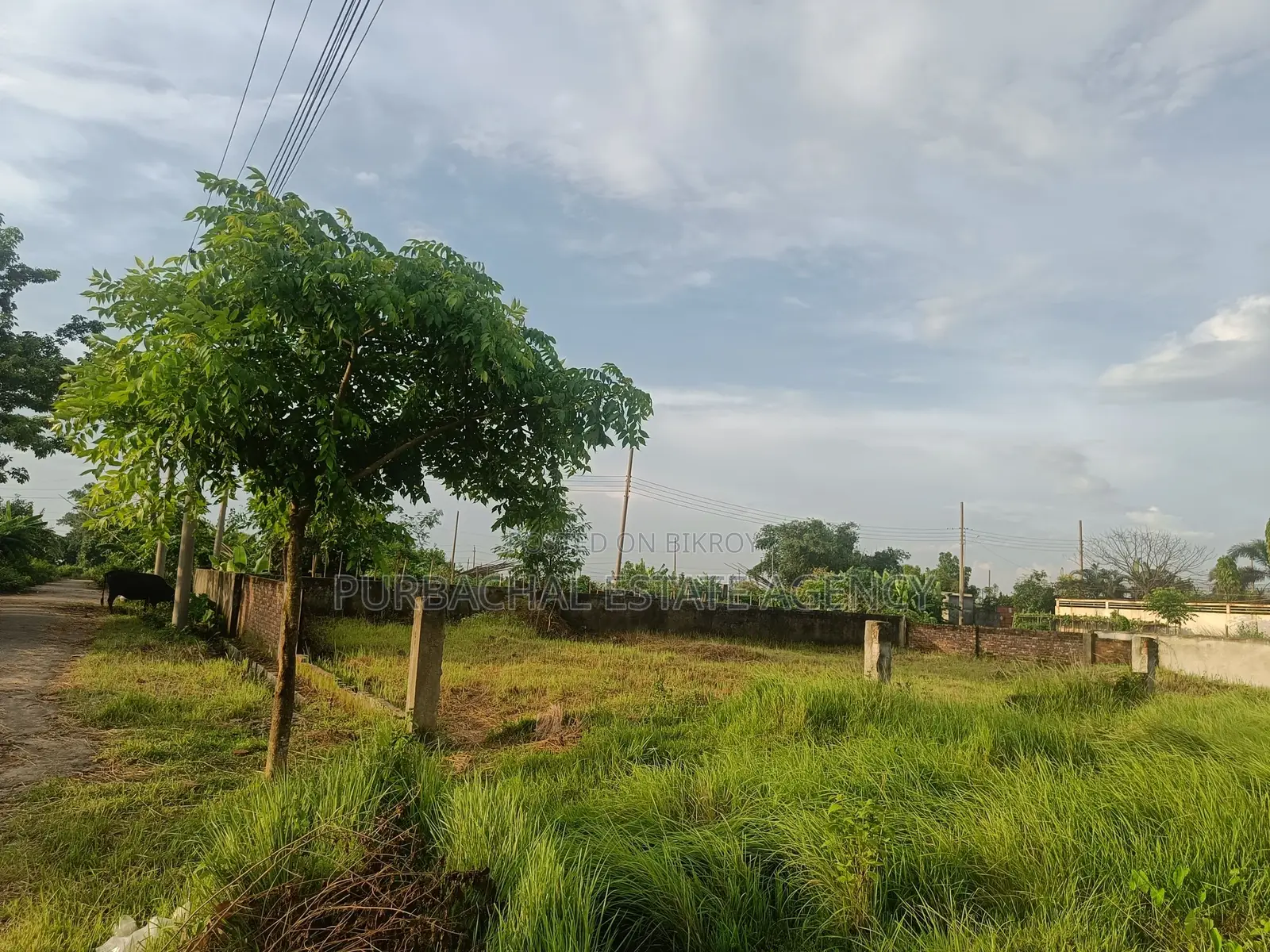 Near Play-Lot, East Facing, 5 Katha Plot In Sec#11 in Purbachal