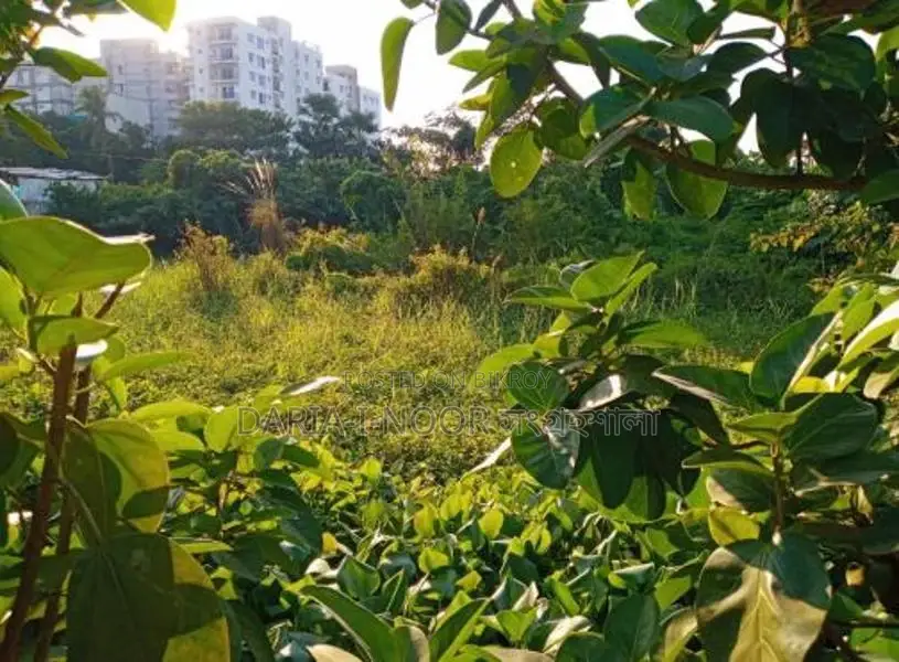Approximately 12 Bigha Land for Sale in a Prime Location of Uttara, Dhaka in Uttara