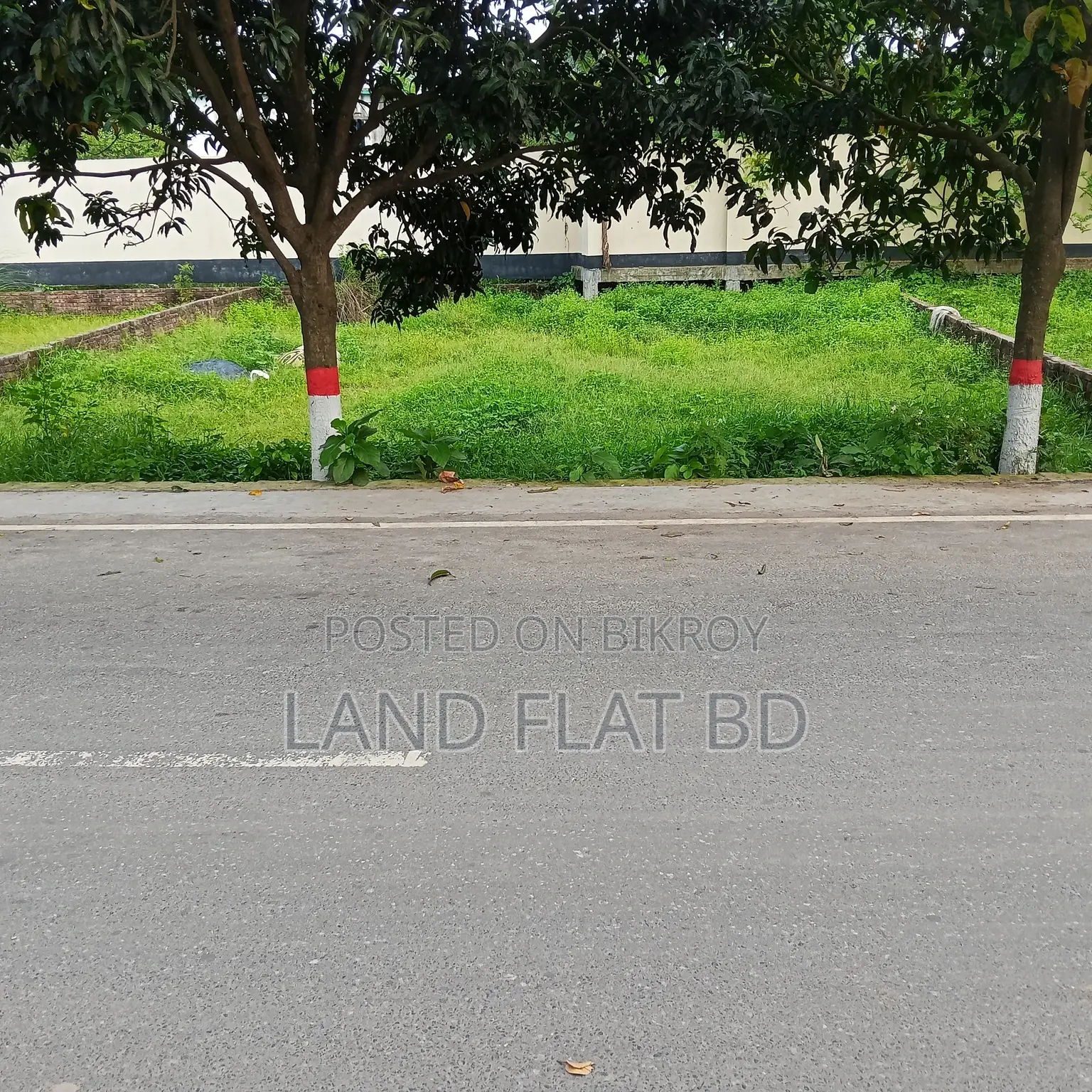 Plots for Sale: 3/5/10 Katha, Perfect for Building Your Dream Home in a Peaceful Environment in Mohammadpur