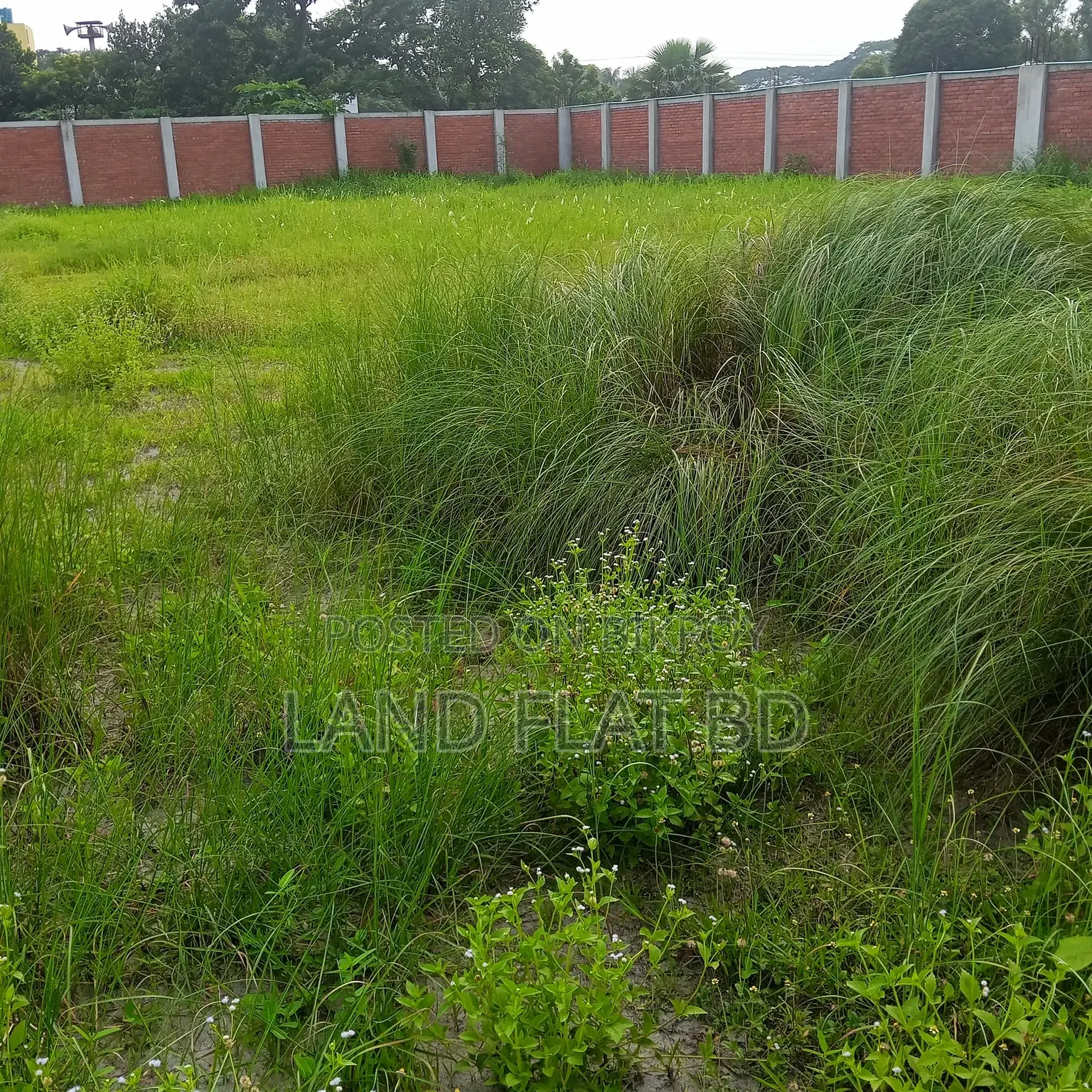 Plots for Sale: 3/5/10 Katha, Perfect for Building Your Dream Home in a Peaceful Environment in Mohammadpur