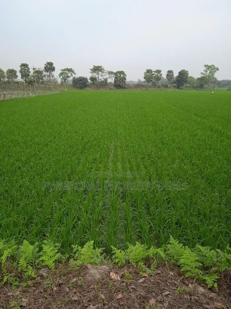 Land for sale in Purbachal – Invest in your future today in Purbachal