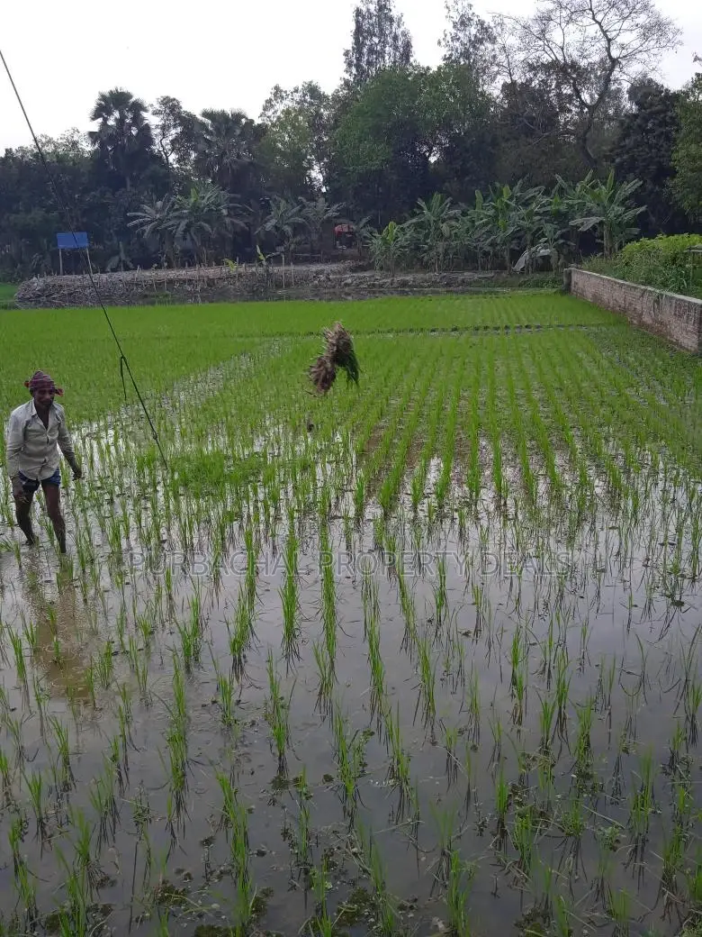 Land for sale in Purbachal – Invest in your future today in Purbachal