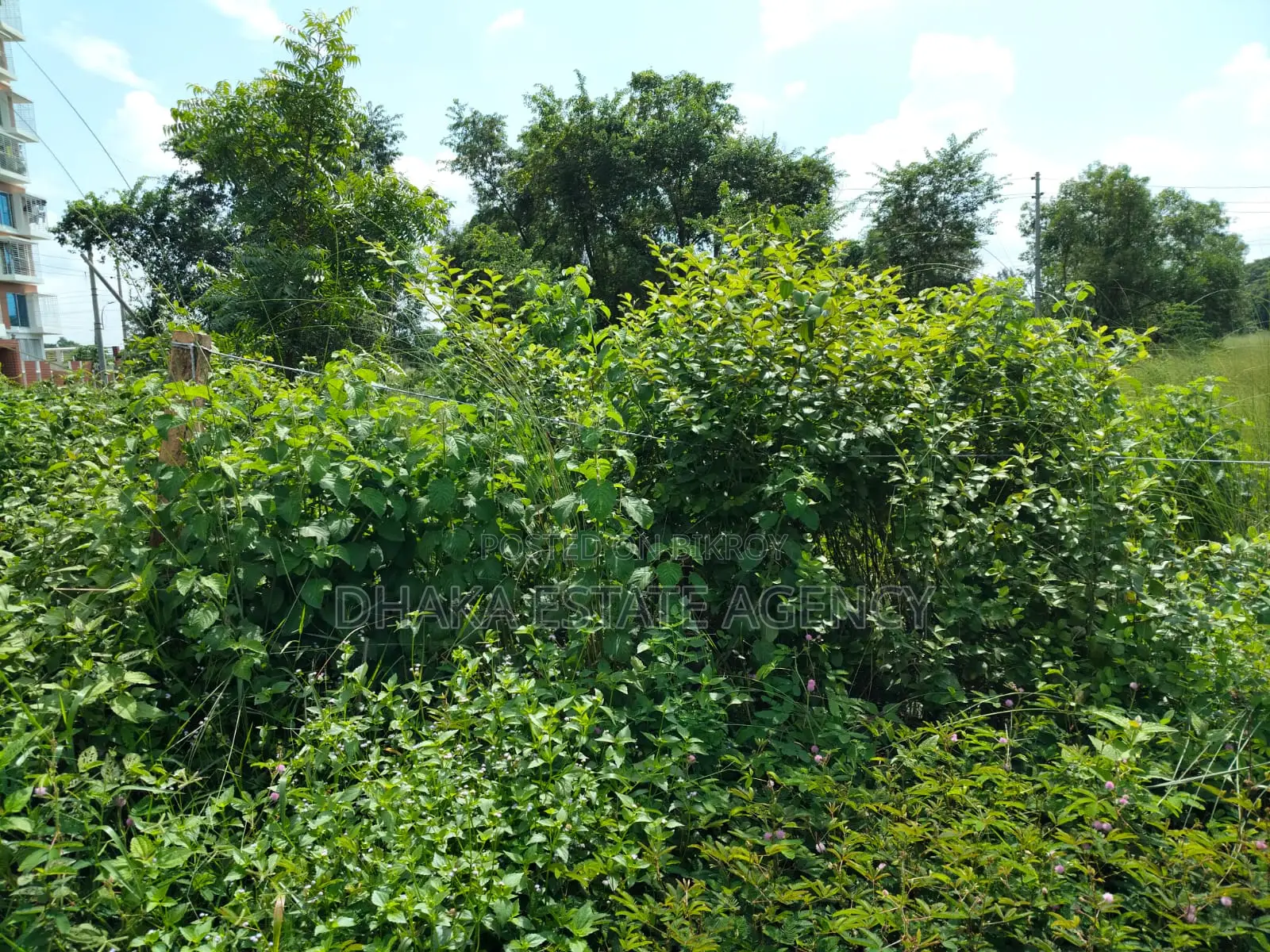 UNITED CITY MADANI AVENUE 100 FEET in Khilkhet