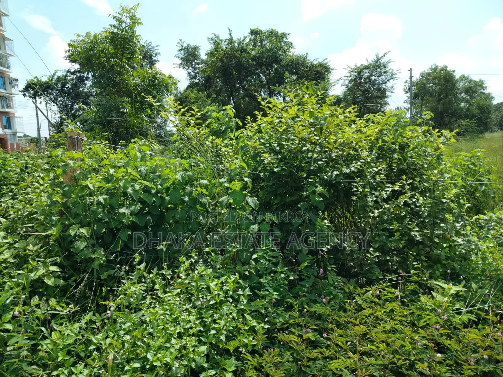 UNITED CITY MADANI AVENUE 100 FEET in Khilkhet