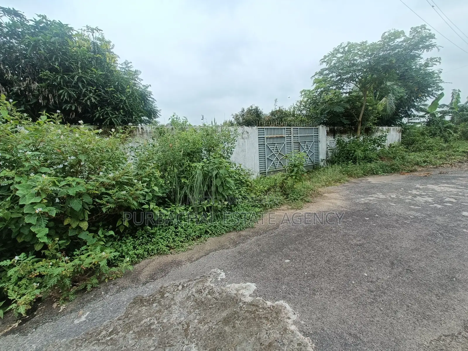 On 100ft, South Facing, 3 Katha Plot In Sec#24 in Purbachal