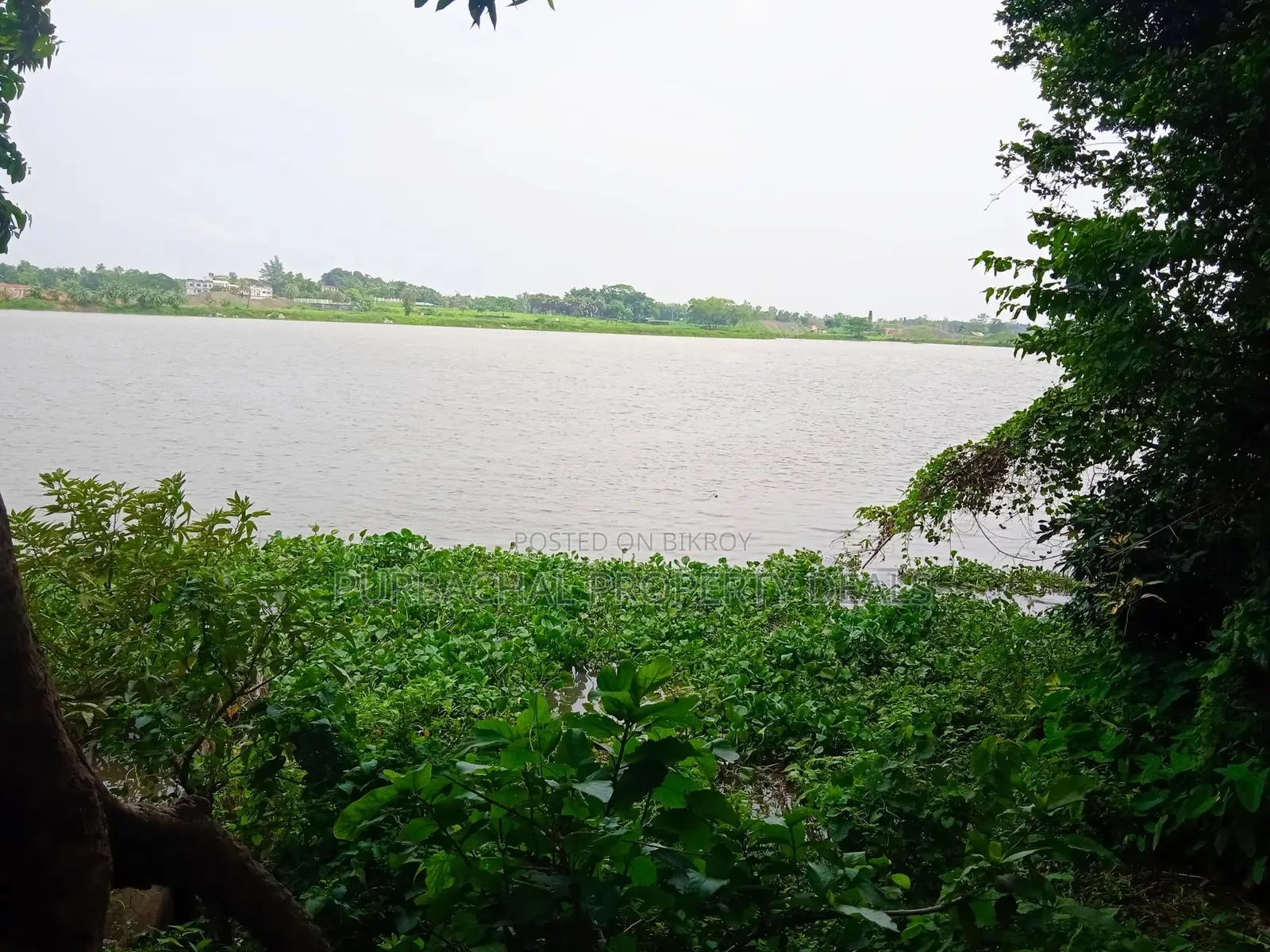 East-facing River View | Business-Class Plot for Sale in RAJUK Sector 4! in Purbachal