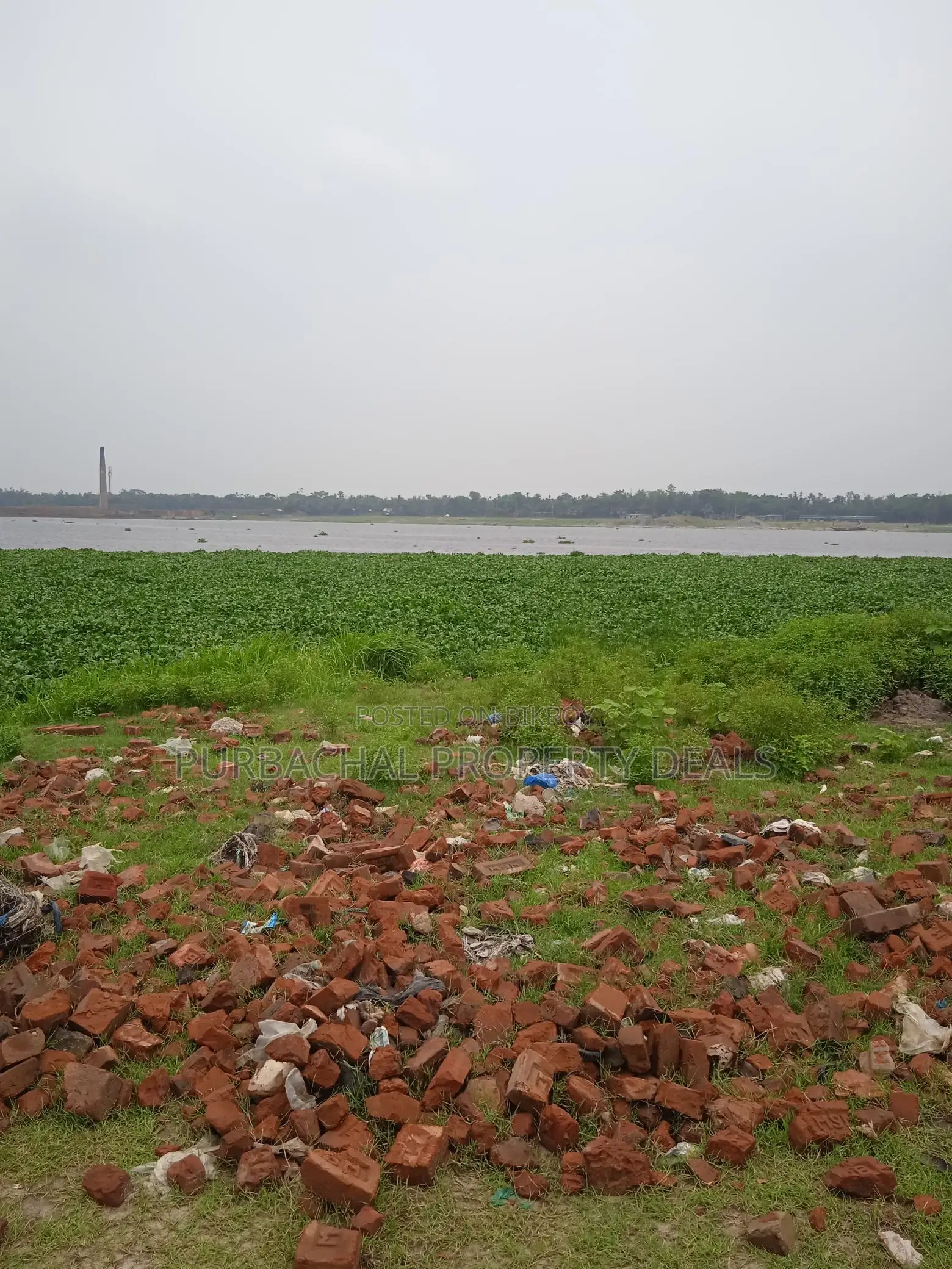 East-facing River View | Business-Class Plot for Sale in RAJUK Sector 4! in Purbachal