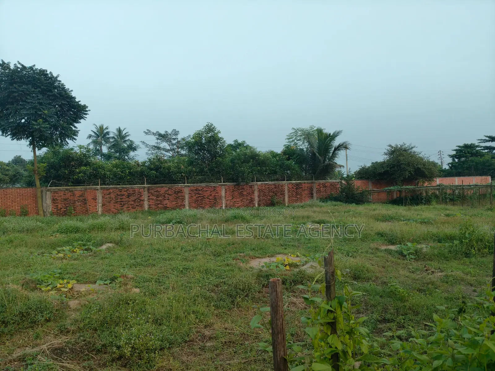 Lake View Corner, East Facing, 3 Katha Plot In Sec#15 in Purbachal