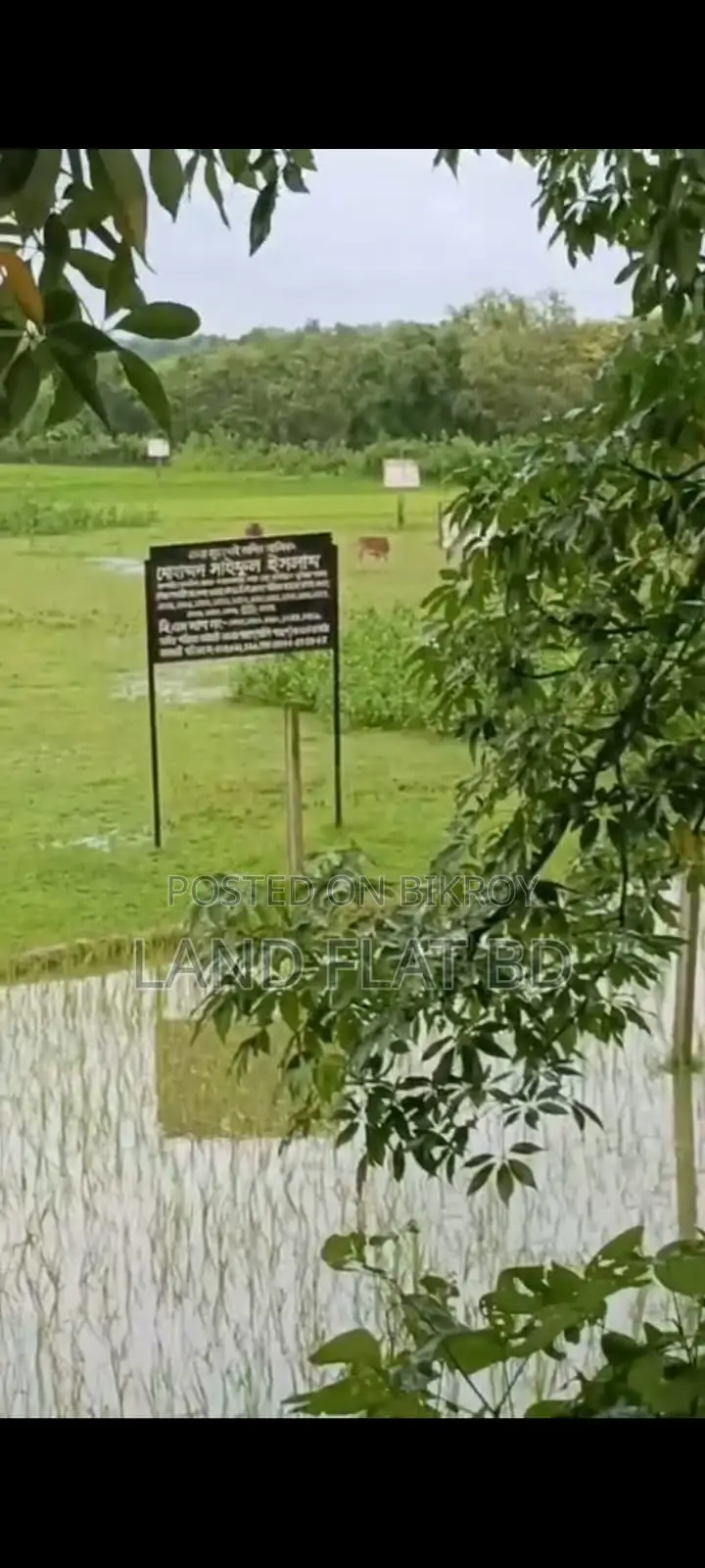 Highly Suitable Residential/Commercial Plot for Business @ 116 Decimal Land for Sale in Cox's Bazar