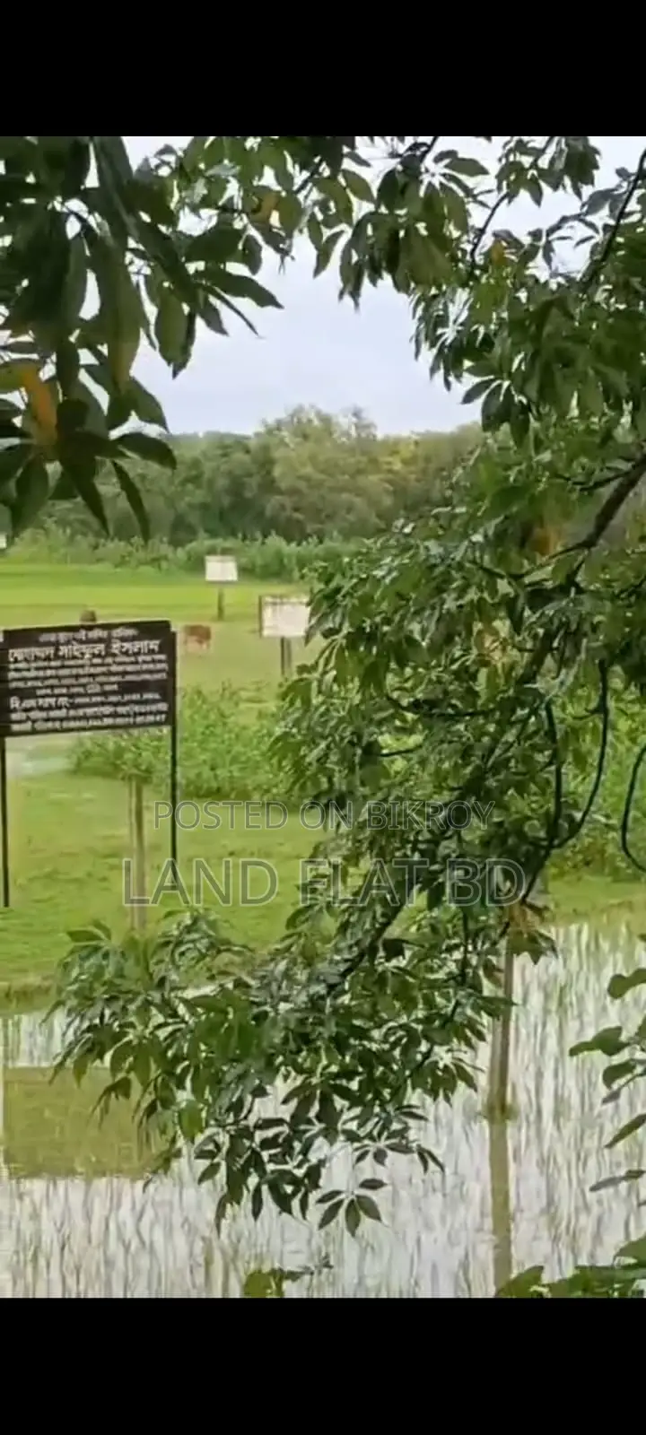Highly Suitable Residential/Commercial Plot for Business @ 116 Decimal Land for Sale in Cox's Bazar