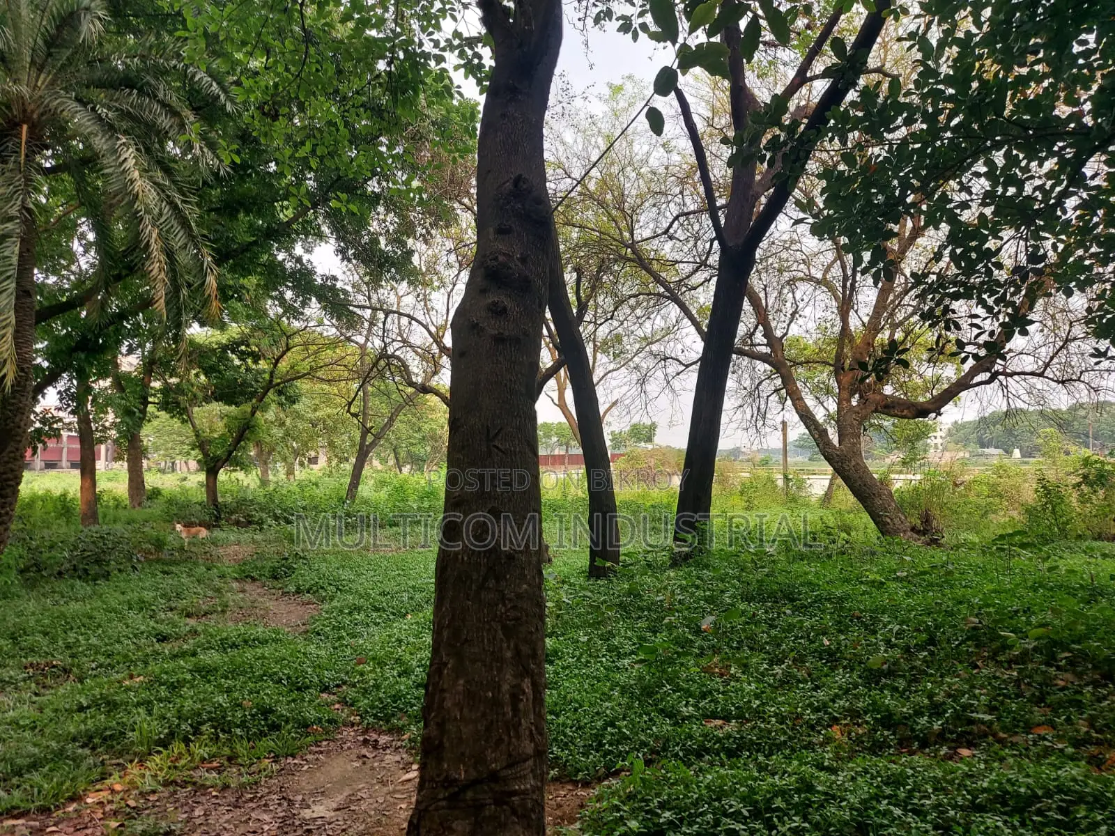 288,000 sqft. land area for factory at Rupshi, Narayangonj in Narayanganj