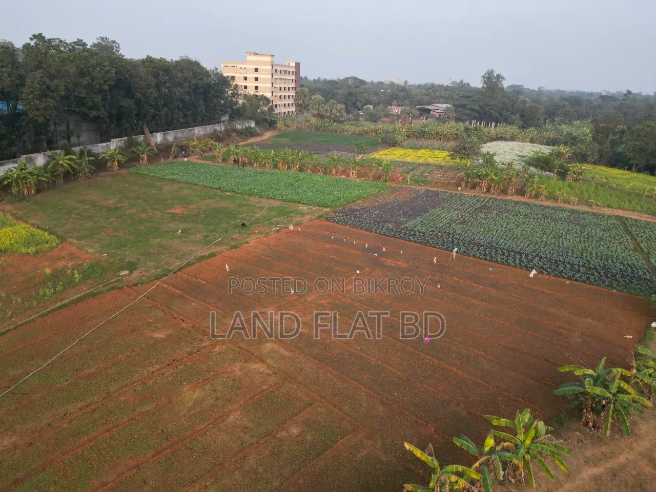 Purchase 6 Katha of Land with Cash or a Five-Year Installment Plan in Savar