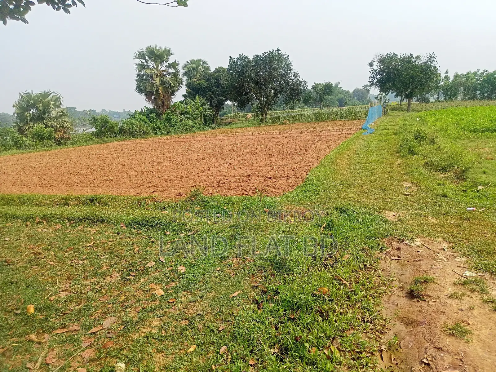Purchase 6 Katha of Land with Cash or a Five-Year Installment Plan in Savar