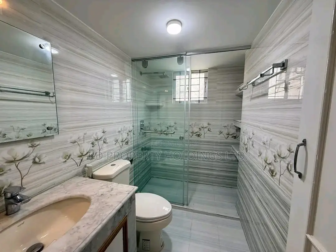 Furnished 3bdrm Apartment in Basundhara for Rent in Basundhara