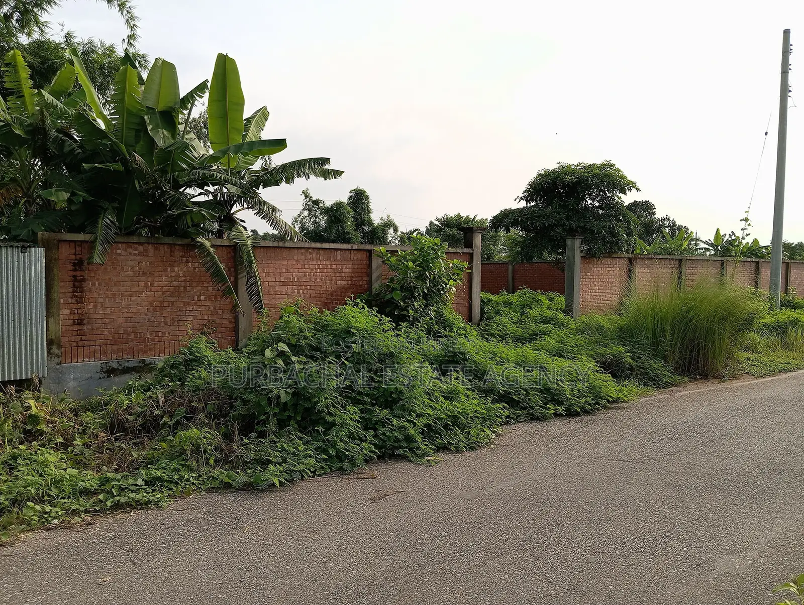 Park view 10 katha Near 100ft in Sec#24, Road#309. in Purbachal