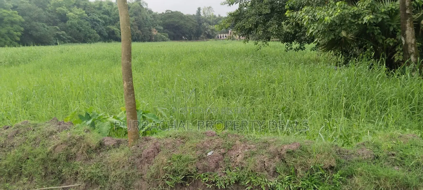 Dream Location! 26 Decimal South-Facing Lake View Land in Purbachal Sector 30 in Purbachal